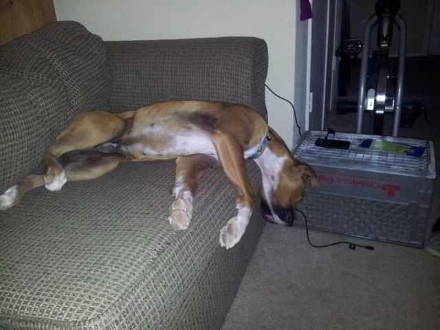 The Flop