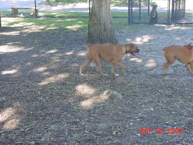 The fun passes by...