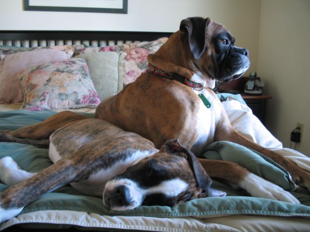 The Girls Relaxing