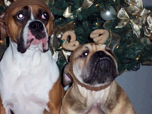 The girls waiting for Santa