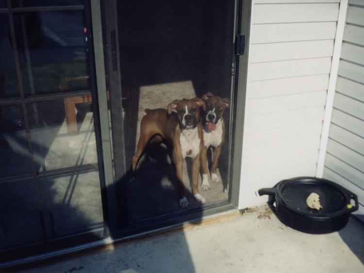 The Greeters