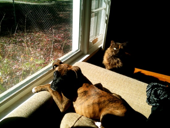 The kids, hanging out