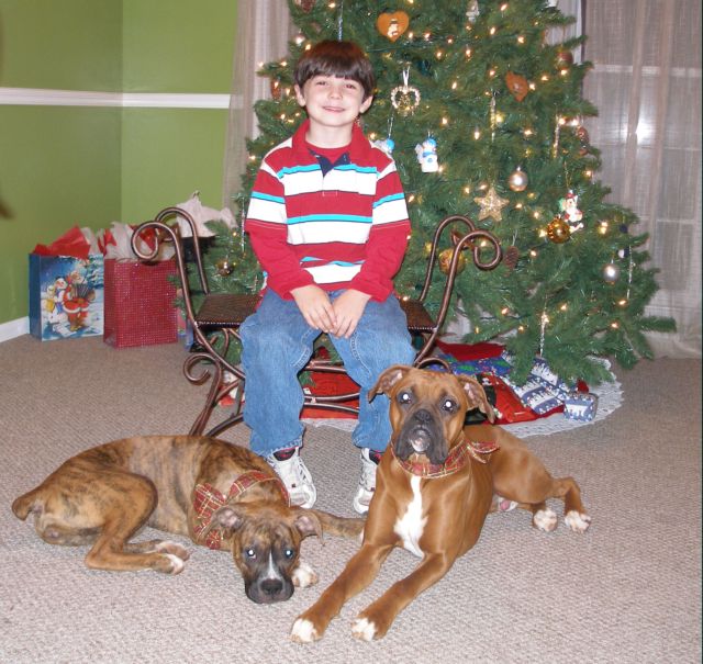 The kids in front of the tree :)