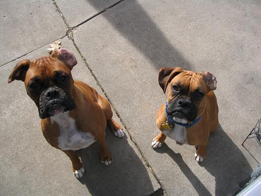 The kids