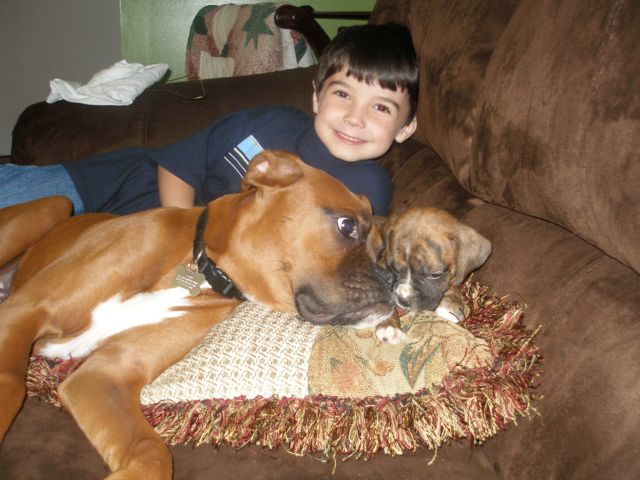 The 'Kids'
