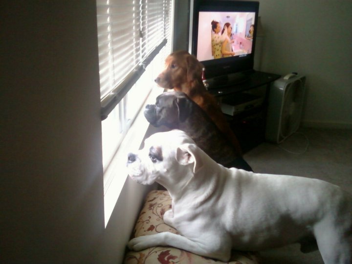 the kids