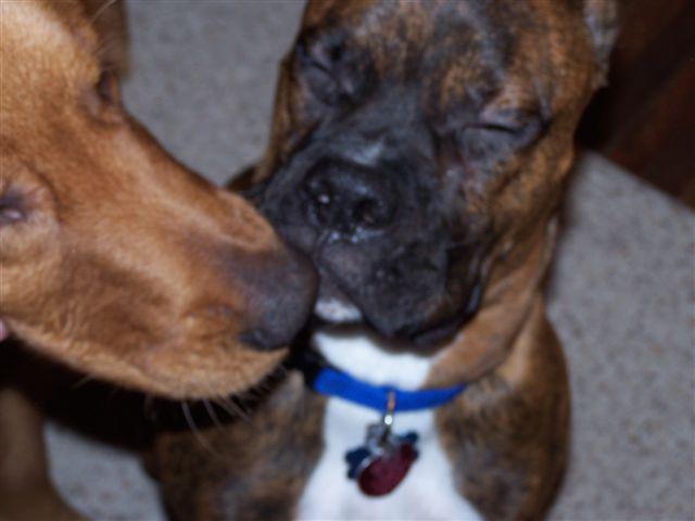 The Kiss