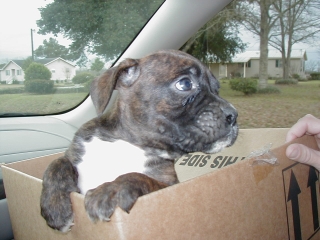 The long ride home.