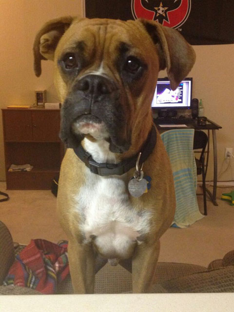 The Look