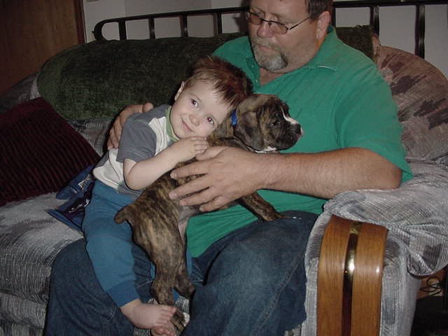 The love for one's puppy