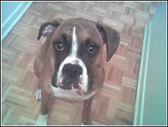 the love of my life