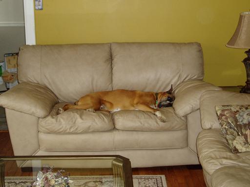 The Love Seat