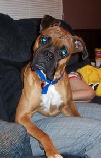 The "Man" of the house