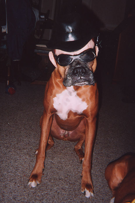 The Missing Blues Brother