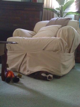 The "Naughty Chair"