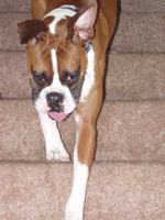 The new Boy Cooper!!!