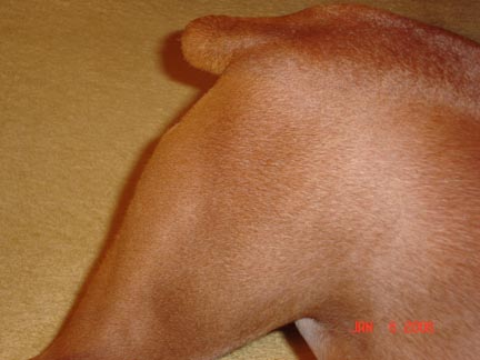The Nub . . .