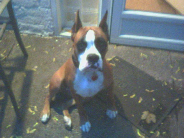 THE ONE & ONLY, BELLA LUNA