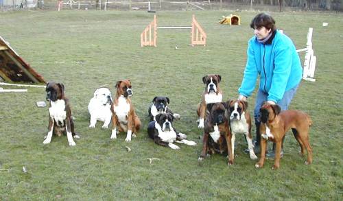 The pack & the better half