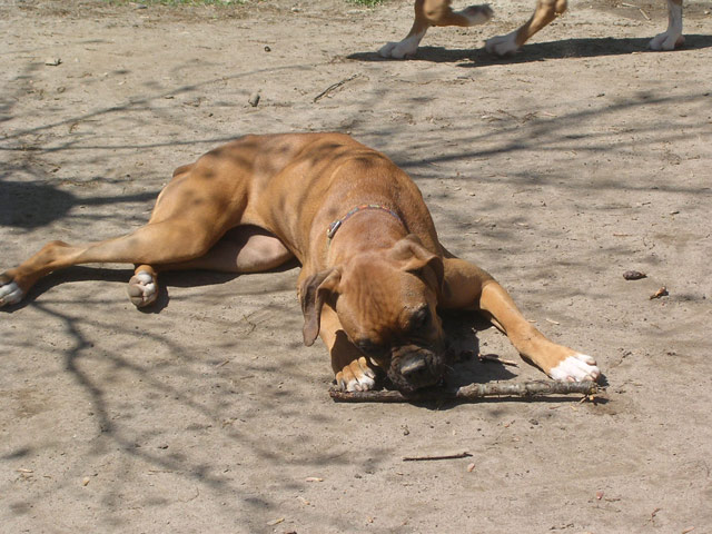 The Prize