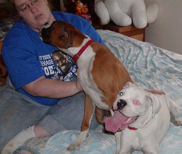 The rescued pups