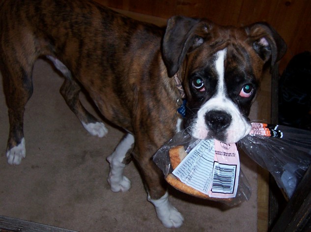 The rewards of counter surfing