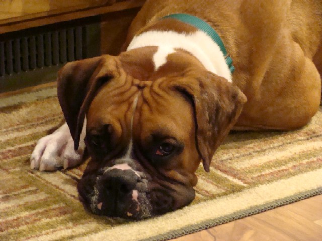 The sad face I make all the time