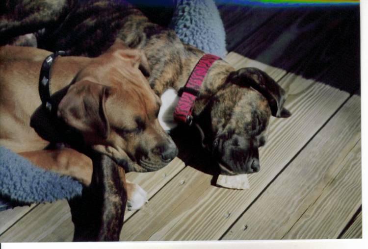 The sisters sleeping