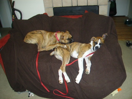 The sleepy heads
