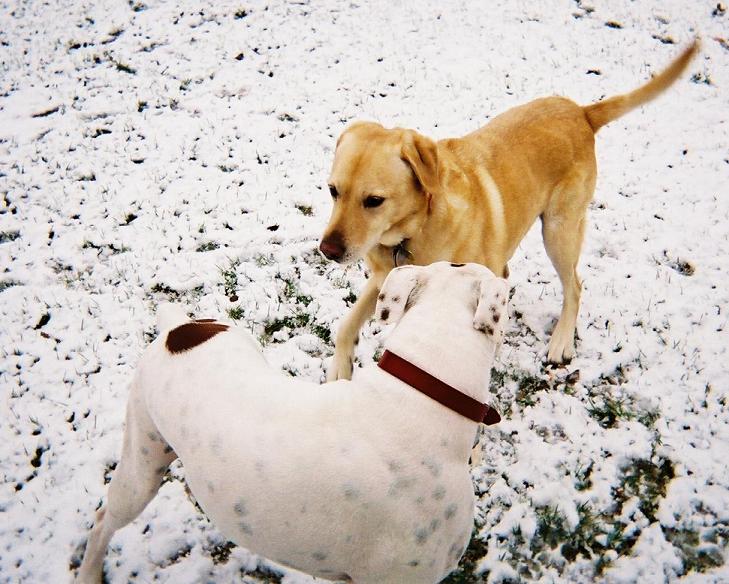 The Stand-Off