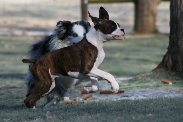 The stick is mine, hahaha.