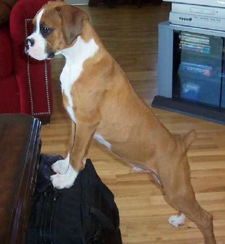 The Stretch