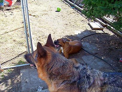 the terrible twosome