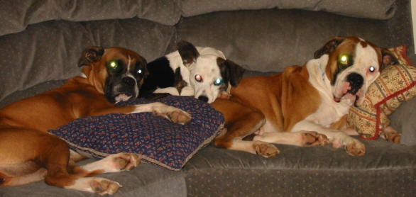 The three amigos