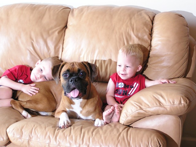 The three boys