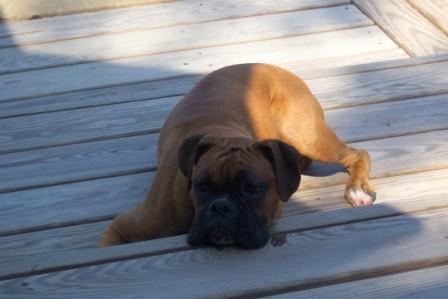 "The Tough Life"