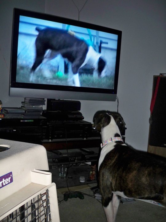 The tv and her