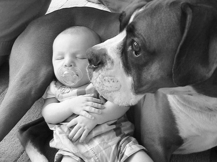 The two boys in the house