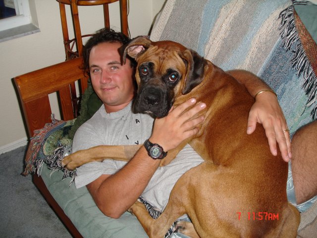 The ultimate lap dog!