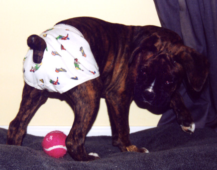 the underwear ninja strikes again!!!
