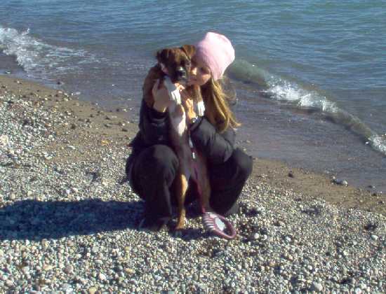 the very loved dog