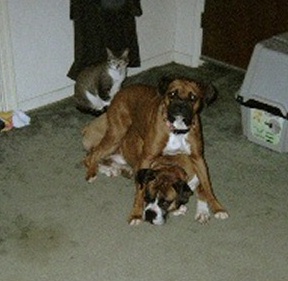 The whole family