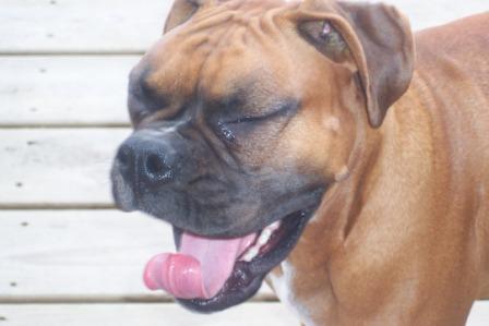 "The Yawn"