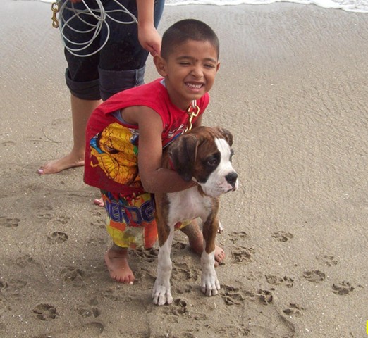 the_beach_zapata