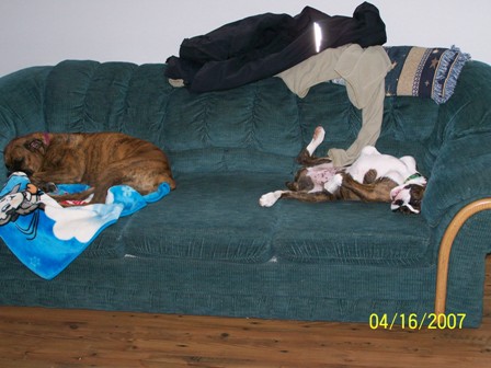 the_big_sleep