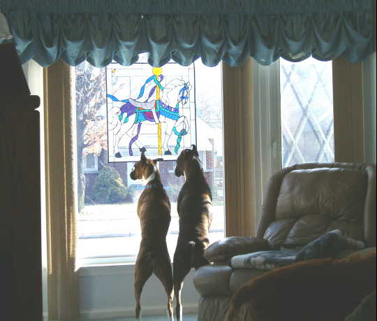 Their favorite spot!!