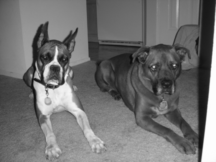 thekids2