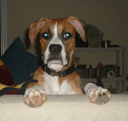 Then I mentioned a walk . . .