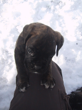 Theo at 5 weeks