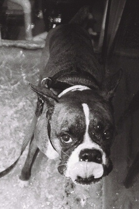 Theo